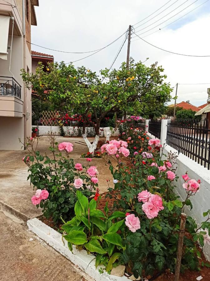 Agathi'S House Apartment Mytikas  Exterior foto